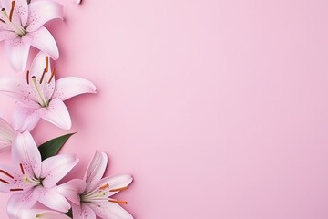  pink lilies on a pink background with a place for a text or a picture to put on a card or save it for a loved one or for a loved one.