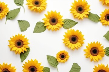  a group of yellow sunflowers with green leaves on a white background with space for a text or an image with a place for a place for your own text.