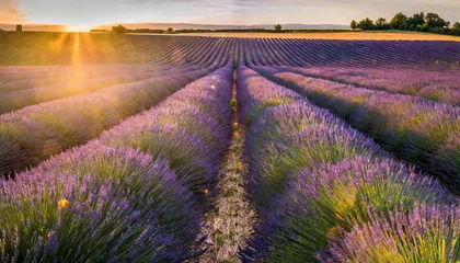 Foto op Canvas Vibrant purple lavender fields under golden sunlight in Valensole, France, evoking serenity and beauty © Your Hand Please