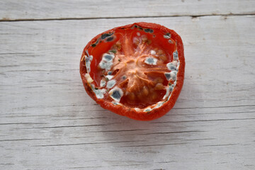 half of a tomato covered with mold