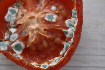 half of a tomato covered with mold