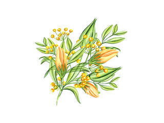 Flowers and green branches of leaves. Meadow herbs, rose, bud. Spring bouquet. Yellow flower. Watercolor illustration. For Valentines day, mothers day cards