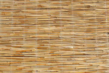 texture of bamboo