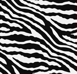 Zebra skin pattern. Animal background. Natural design