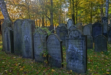 Grave Stones on gthe Old Jewish Cemetery in Hamburg Altona