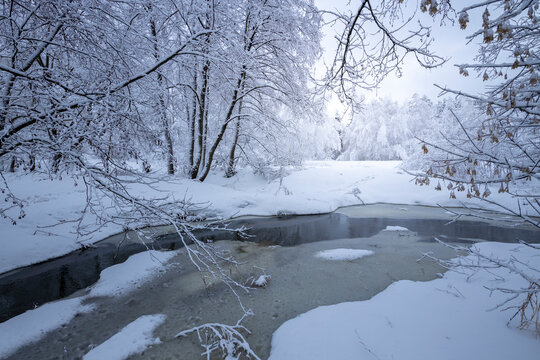 snowy winter landscape with river and trees, small river in the middle of a snowy forest