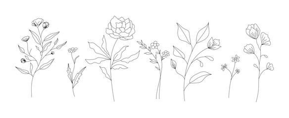 Fototapeta premium Hand drawn wild field flora, flowers, leaves, herbs, plants, branches. Minimal floral botanical line art. Vector illustration for logo or tattoo, invitations, save the date card. 