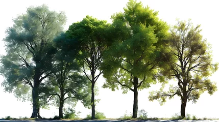 Foto op Plexiglas Collections tropics green trees shapes set cutout transparent backgrounds 3d rendering png © antipa