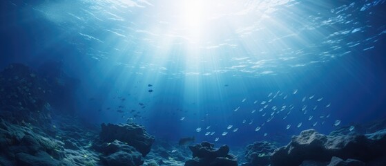 Fototapeta na wymiar Underwater seascape with sunlight piercing through. Marine life and exploration.