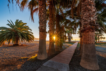 Walkway lined with palm trees that gives access to the Poniente beach of Motril, Costa Tropical de Granada, Andalucia.