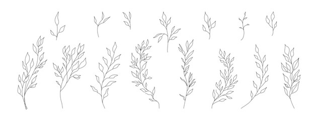Hand drawn wild field flora, flowers, leaves, herbs, plants, branches. Minimal floral botanical line art. Vector illustration for logo or tattoo, invitations, save the date card.	 - obrazy, fototapety, plakaty