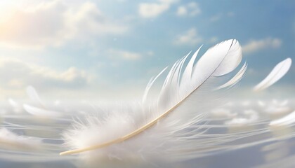 down feather soft white fluffly feather falling in the air swan feather