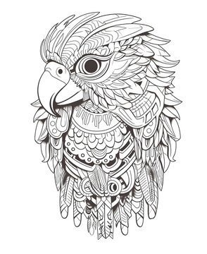 coloring page for adults, mandala, Parrot bird image, white background, clean line art, fine line art