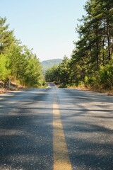 Road in countryside on a sunny day in summer. Straight road in wild forest. Summer outdoor travel...