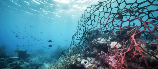 Fototapeten Abandoned fishing net harms Zanzibar's coral reef. © TheWaterMeloonProjec