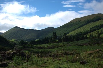 landscape with trees and clouds