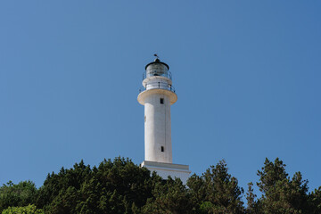 Fototapeta na wymiar A white lighthouse stands tall above the trees against a clear blue sky, a beacon of navigation and hope