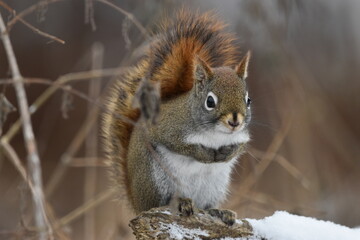 La Plaine 6 Janvier 2024