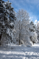 Winter Landscape of South Park in city of Sofia, Bulgaria