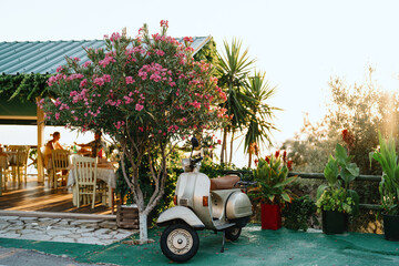 A classic scooter parks beside blooming pink oleanders at a quaint outdoor cafe, capturing the...