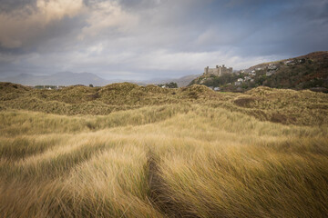 View across the dunes and grasses to the town of Harlech.
