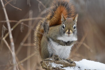 La Plaine 6 Janvier 2024