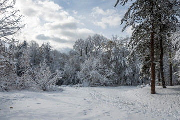 Winter Landscape of South Park in city of Sofia, Bulgaria