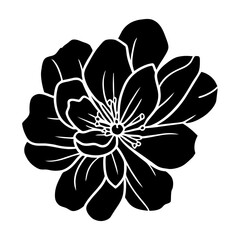 Hand drawn simple flower illustration