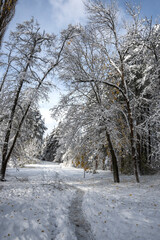 Winter Landscape of South Park in city of Sofia, Bulgaria