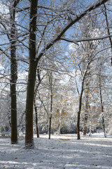Fototapeta premium Winter Landscape of South Park in city of Sofia, Bulgaria