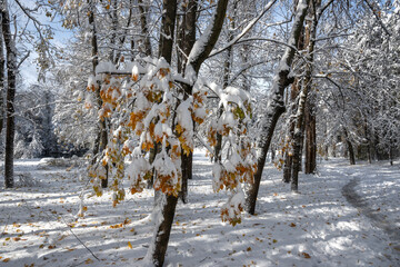 Winter Landscape of South Park in city of Sofia, Bulgaria