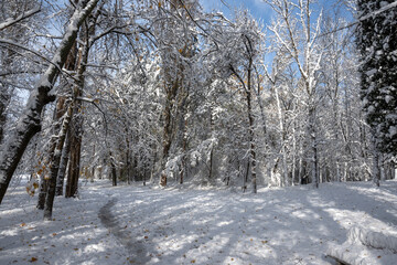 Winter Landscape of South Park in city of Sofia, Bulgaria