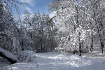 Winter Landscape of South Park in city of Sofia, Bulgaria