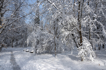 Winter Landscape of South Park in city of Sofia, Bulgaria