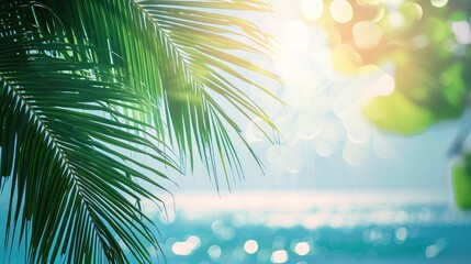 Fototapeta na wymiar Earth day concept: Blurred beautiful leaves of coconut palm tree over sea background