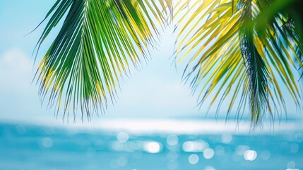 Fototapeta na wymiar Earth day concept: Blurred beautiful leaves of coconut palm tree over sea background