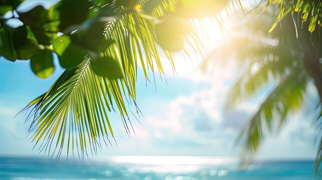 Earth day concept: Blurred beautiful leaves of coconut palm tree over sea background