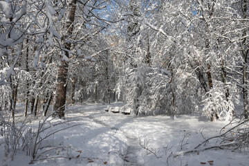 Winter Landscape of South Park in city of Sofia, Bulgaria