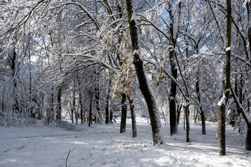 Winter Landscape of South Park in city of Sofia, Bulgaria