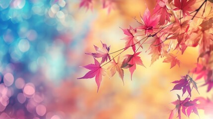 Fototapeta premium Happy Thanksgiving day concept: Maple leaves branch over gradient blurry autumn sunset background 