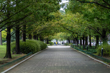 한국 공원 일산