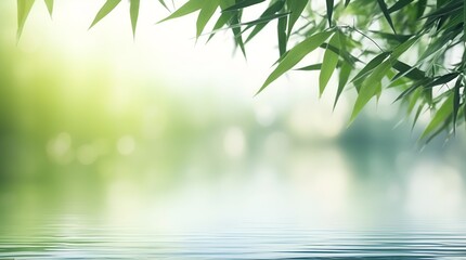 border of green bamboo leaves over sunny water surface background banner, beautiful spa nature scene with asian spirit and copy space
