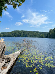 A lake in the forest with islands and trees