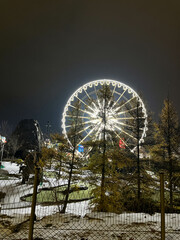ferris wheel at night in the city