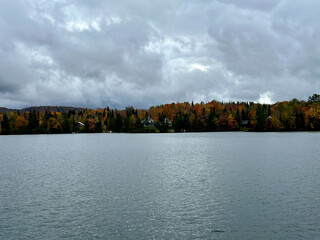 autumn landscape with lake