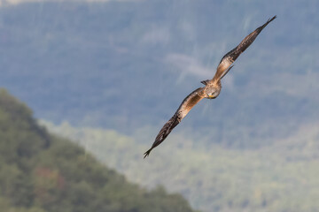 Volando sobre la presa