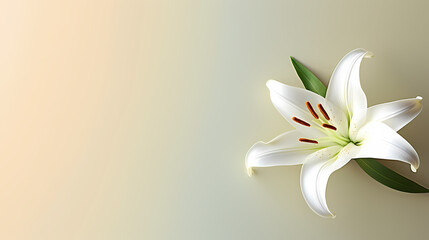 Fototapeta premium Holiday party background, New Year, birthday, celebration, Christmas background with blank copy space