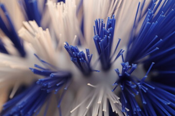 Close-up of a blue and white bristle brush