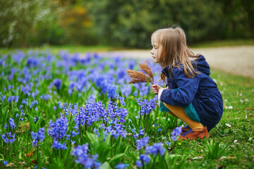 Adorable preschooler girl enjoying nice spring day in park during hyacinth blooming season - obrazy, fototapety, plakaty