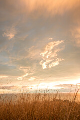 Sunrise at Godley Head - Banks Peninsula, New Zealand - Portrait